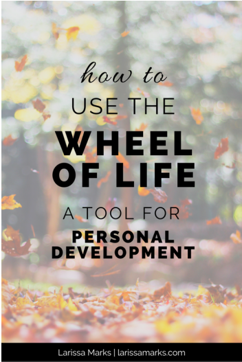 The Wheel of Life Tool